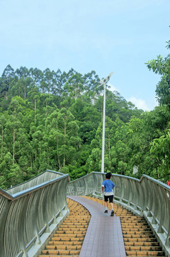 斜坡阶梯