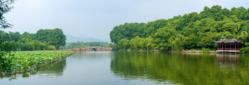 杭州西湖夏天大画幅