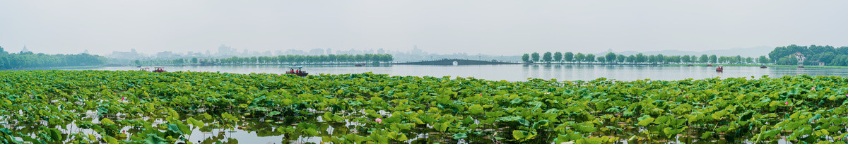 杭州西湖夏天白堤断桥全景图