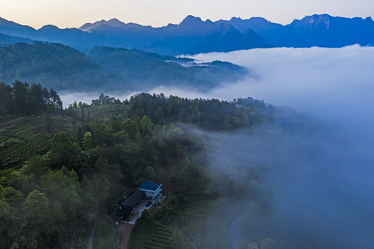 湖北五峰茶园古村