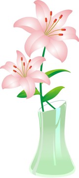 百合花