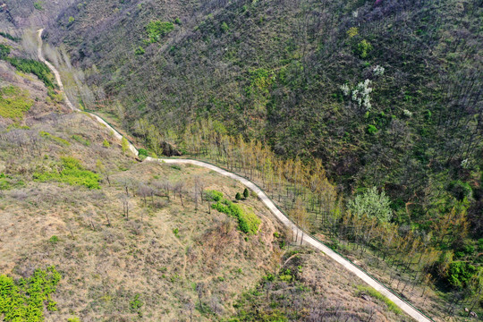 山里小路