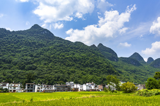 乡村田园青山