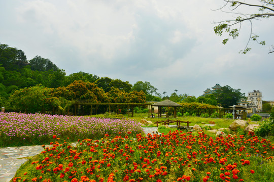 立园花海