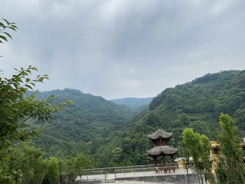 自然风景森林植被