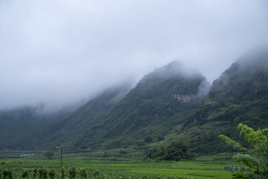 雾锁青山