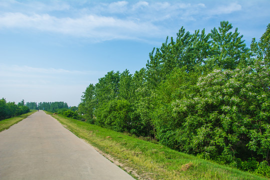 道路