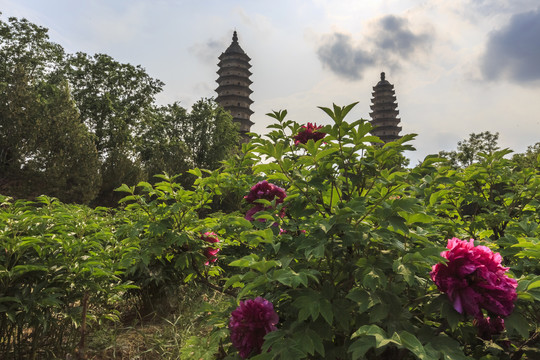 中国山西太原市永祚寺景区风光