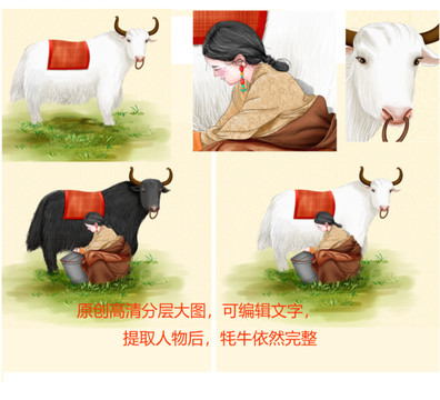 牦牛藏族人物挤奶
