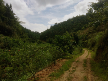 山村小道