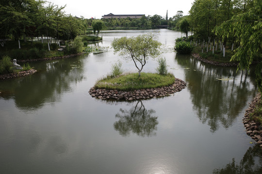 东台西溪湿地