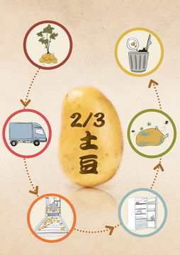 土豆的生产流程
