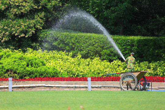 公园浇水工人