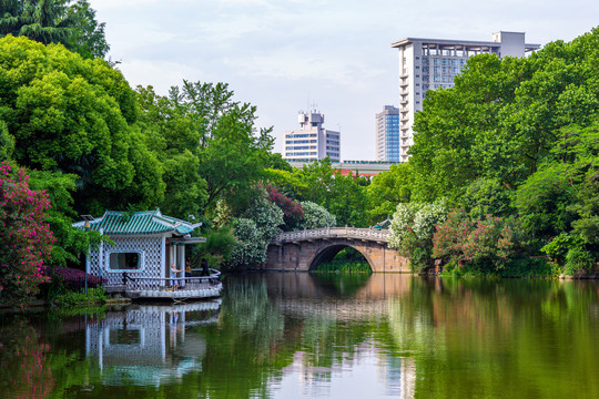 天山公园园林风光