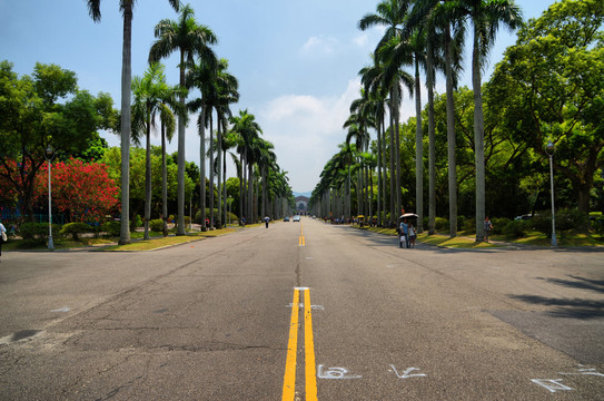 台湾大学椰林大道