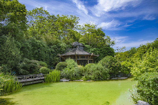 吴淞炮台矿坑公园