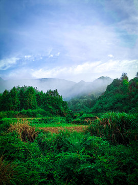 云雾中的山村