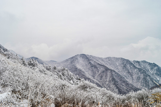 雪景