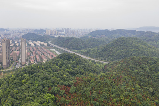 湿地森林城市