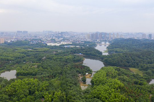 湿地森林城市