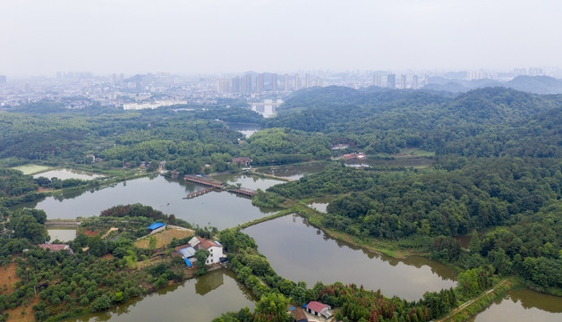 湿地森林城市
