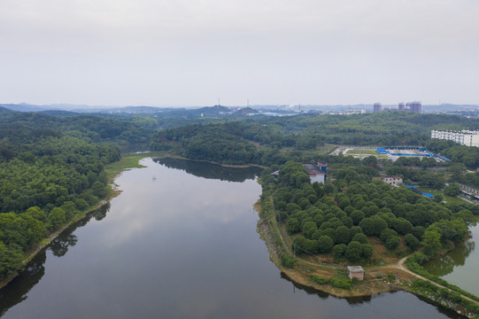 湿地森林城市
