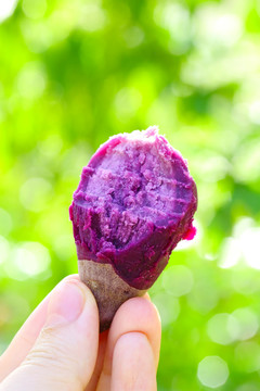 越南小紫薯