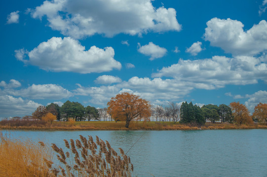 湖泊秋景