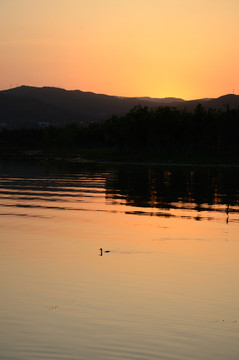 夕阳下的晋阳湖