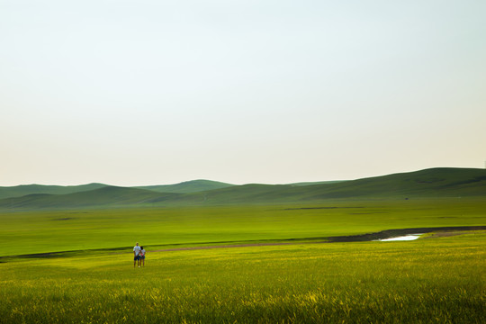 内蒙古呼伦贝尔大草原自然景色