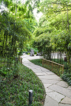 竹林小道