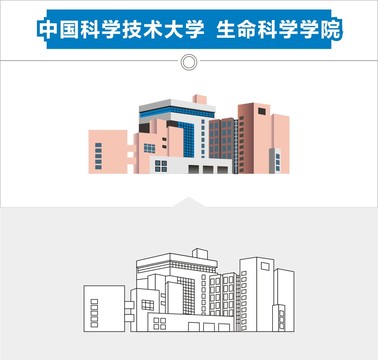 中国科学技术大学生命科学院