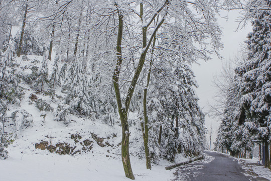 龙王垭雪景F