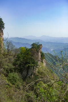 王顺山国家森林公园