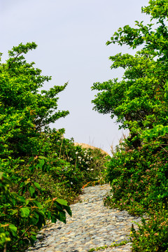 洋山石龙景区