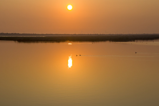 湿地风光