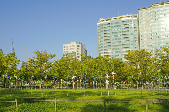 城市公园草坪