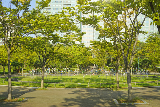 城市公园草坪和树林