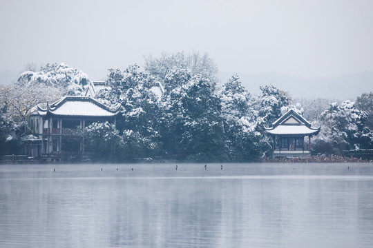 西湖雪韵