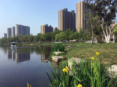 湖边社区宜人美景