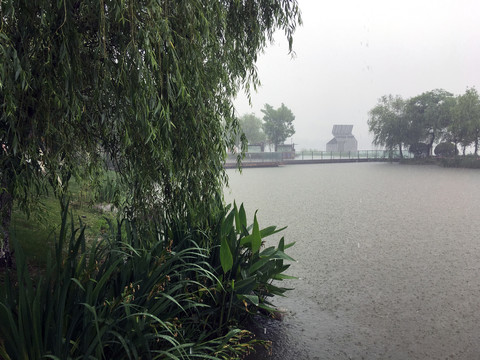 暴雨中的龙池湖