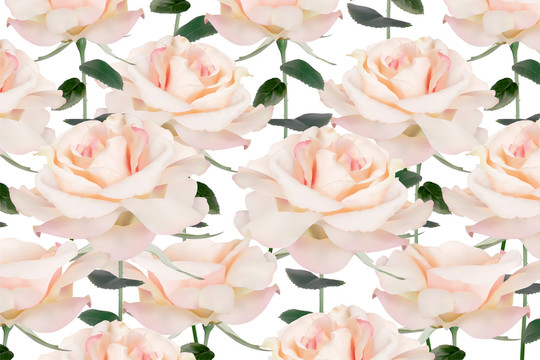 浪漫浅粉色玫瑰花背景写实插图