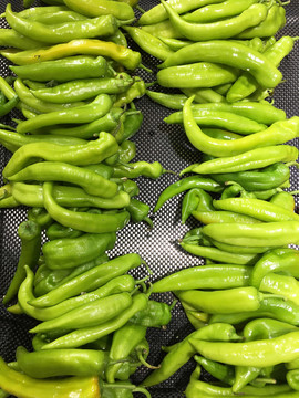 大辣椒