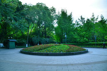 成都人民公园绿化风景