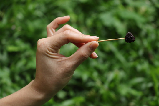 手捏牙签刺着樱桃干