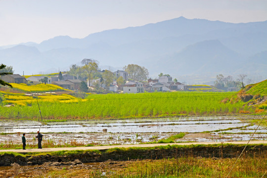 龙坝风光Z