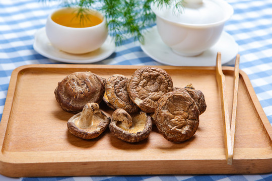 香菇菌