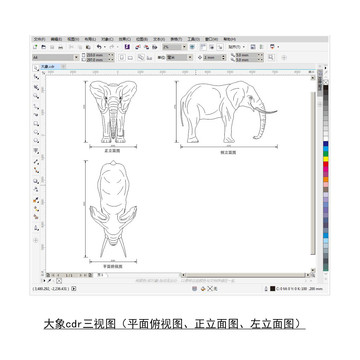 大象cdr平面图立面图