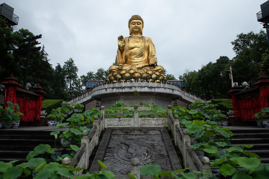 重庆华岩寺风景区的金佛佛像