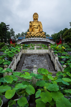 重庆华岩寺风景区的金佛佛像